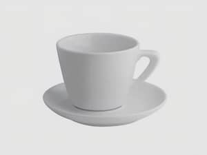 koffietas en koffieschoteltje per set van 20 st